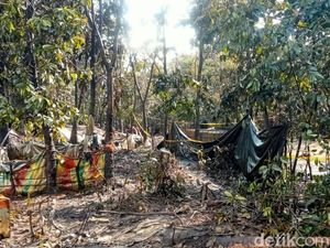 Sumur Ilegal Semburkan Minyak Setinggi 10 Meter di Muba, Warga Dilarang Mendekat Sumur Ilegal Semburkan Minyak Setinggi 10 Meter di Muba, Warga Dilarang Mendekat