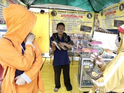 Traveler Tahu Enggak, ke Mana Perginya Hewan-hewan yang Di-rescue?