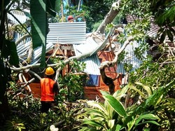 Rumah Hancur Tertimpa Wani, Sekeluarga di Gianyar Selamat Tanpa Luka