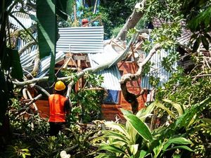 Rumah Hancur Tertimpa Wani, Sekeluarga di Gianyar Selamat Tanpa Luka Rumah Hancur Tertimpa Wani, Sekeluarga di Gianyar Selamat Tanpa Luka