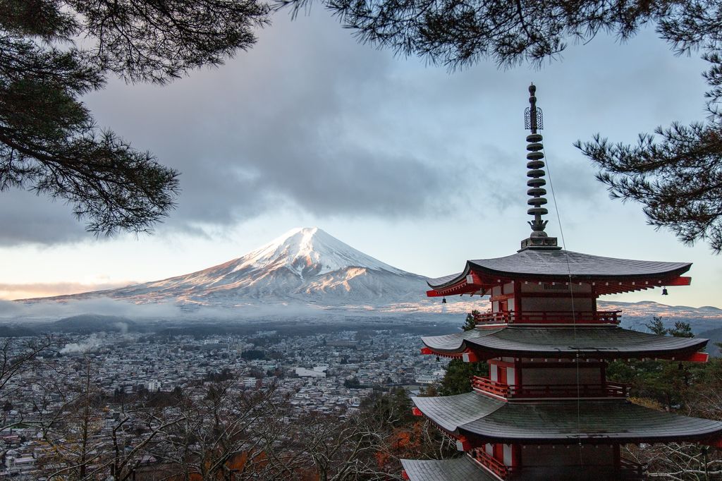 5 cosas que debes revisar antes de ir a Japón/Foto: Pexels.com/Tomas Malik