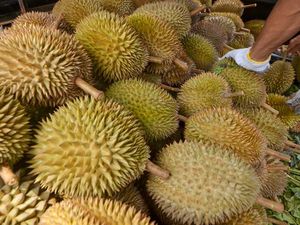 Terpopuler: Tertipu Durian bikin Wisman Lempar Timbangan ke Penjual