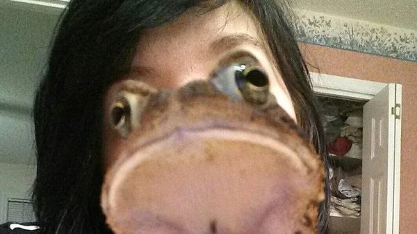 Yakin Melihat Gambar Ini Mata Tak Terkecoh?