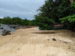 Cerita Prabu Siliwangi di Leuweung Sancang, Mitos atau Fakta?