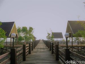 5 Rekomendasi Wisata Mangrove di Pantai Timur Sumut, Seru dan Sejuk