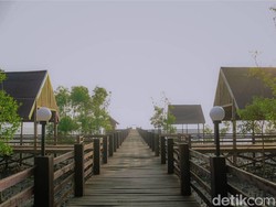 5 Rekomendasi Wisata Mangrove di Pantai Timur Sumut, Seru dan Sejuk