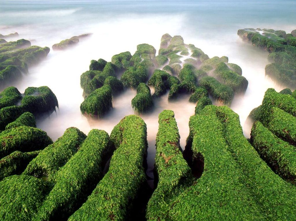 Bagai Surga, Ini 7 Tempat Instagenik Kebanggaan Taiwan Bagai Surga, Ini 7 Tempat Instagenik Kebanggaan Taiwan