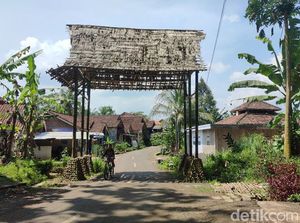 Ada Kampung Siluman di Hutan dan Rawa Kota Banjar, Berani ke Sini?