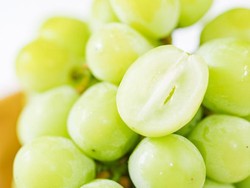 Badan Karantina Pastikan Anggur Shine Muscat yang Beredar Aman