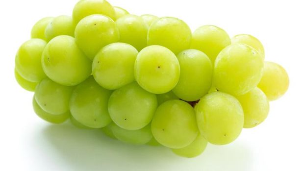 Fakta Anggur Shine Muscat