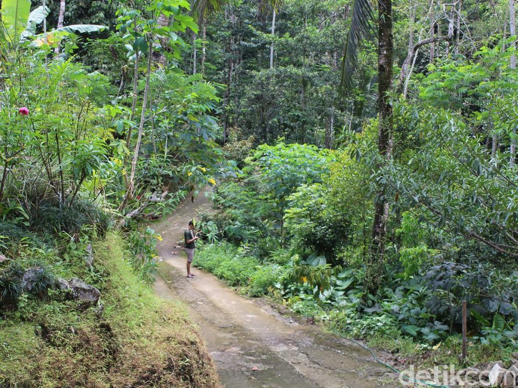 Mengunjungi Dusun Terpencil Plandi Banyumas, Mayoritas Warganya Umat Buddha