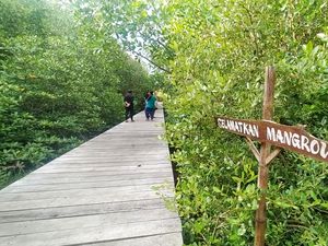 BRIN: Pembangunan di Teluk Benoa Berpotensi Rusak Mangrove! BRIN: Pembangunan di Teluk Benoa Berpotensi Rusak Mangrove!