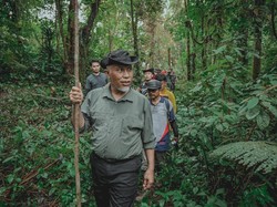 Cek Jalan Alternatif Malalak-Maninjau, Mahyeldi Tembus Hutan 11 Km
