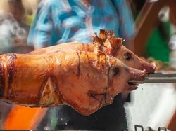 Dr Zakir Naik Bicara Hukum Haram di Balik Makan Babi