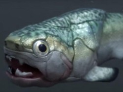 Jantung Tertua di Dunia Milik Ikan Purba, Usia 380 Juta Tahun!