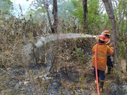 43 Hektare Lahan di Kubu Karangasem Terbakar 5 Hari Berturut-turut