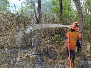 43 Hektare Lahan di Kubu Karangasem Terbakar 5 Hari Berturut-turut 43 Hektare Lahan di Kubu Karangasem Terbakar 5 Hari Berturut-turut