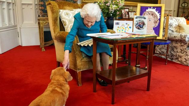 (FILES) In this file picture released in London on February 4, 2022, and taken last month, shows Britain's Queen Elizabeth II stroking Candy, her corgi dog, as she looks at a display of memorabilia from her Golden and Platinum Jubilees, in the Oak Room at Windsor Castle, west of London. - From Susan, received for her 18th birthday, to Fergus and Muick, acquired shortly before the death of her husband Philip, Elizabeth II owned around thirty corgis, small dogs that remain inseparable from her image. Elizabeth II, who died on September 8, 2022 at the age of 96, was a one-colour outfit, a pair of gloves, a black handbag... and a corgi trotting by her side. (Photo by Steve Parsons / POOL / AFP)