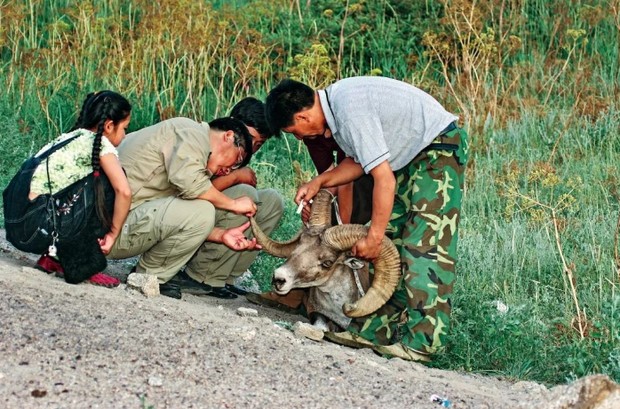 Chu Wenwen ketika kecil/ Foto: CGTN/Chu Wenwen