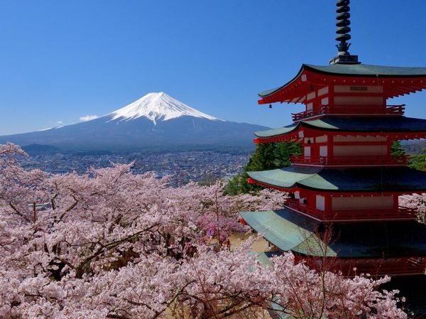 Siap-siap yang Mau ke Jepang, Wajib Bawa Persyaratan Ini
