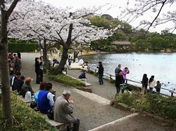 Dilema Jepang Jelang Terapkan Bebas Visa