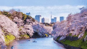 Deretan Spot Menarik Menikmati Keindahan Bunga Sakura di Jepang