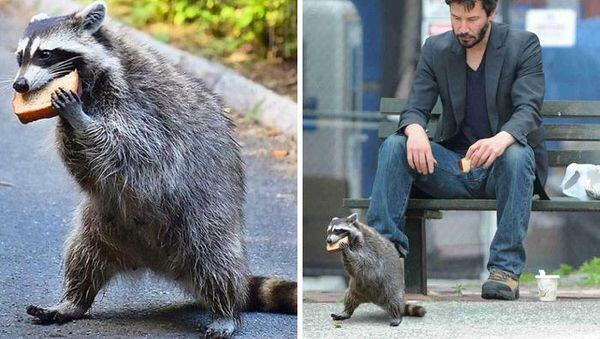 Editan Dewa Photoshop yang Kece dan Bikin Ngakak