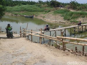 Jembatan Kayu Ini Jadi Akses Andalan Warga Perbatasan Kudus-Demak