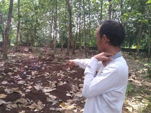 Cerita Lurah soal 152 Jenazah di Cilegon Masih Utuh Usai Puluhan Tahun Cerita Lurah soal 152 Jenazah di Cilegon Masih Utuh Usai Puluhan Tahun
