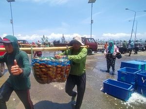 Harga Lemuru di TPI Pengambengan Jembrana Anjlok, Cuma Rp 3.500 Sekilo