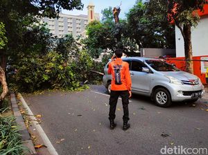 Foto-foto Pohon Tumbang Timpa Mobil di Jalan Marga Guna Jaksel