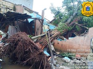 Pohon Tumbang Timpa Rumah di Jagakarsa, 4 Orang Sekeluarga Terluka
