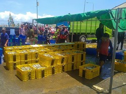 Nelayan Jembrana Keluhkan Solar Mahal dan Sulit Membeli