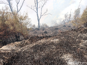10 Hektare Lahan dan Hutan di Semeru Terbakar, 1 ODGJ Diamankan 10 Hektare Lahan dan Hutan di Semeru Terbakar, 1 ODGJ Diamankan