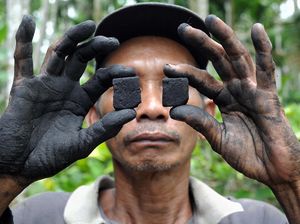 Begini Lho... Cara Mengubah Limbah Pelepah Jadi Briket