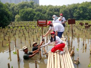 Swasta Ikut Jaga Kondisi Lingkungan, Begini Caranya