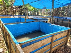 Warga di Bone Keluhkan Sungai Cabalu Tercemar Limbah Ternak Lele