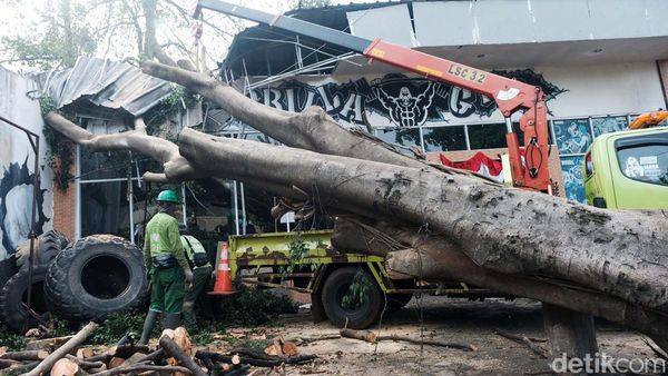 Gym di Lebak Bulus Ini Ringsek Tertimpa Pohon Besar
