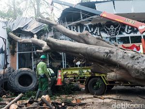 Gym di Lebak Bulus Ini Ringsek Tertimpa Pohon Besar