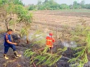 Terjadi Lagi, Kebakaran di Lahan Dekat Tol Pejagan Kali Ini di Km 267 dan 269 Terjadi Lagi, Kebakaran di Lahan Dekat Tol Pejagan Kali Ini di Km 267 dan 269