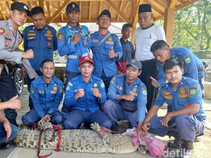Buaya Nyasar ke Kolam Warga Subang Diurus BKSDA Buaya Nyasar ke Kolam Warga Subang Diurus BKSDA