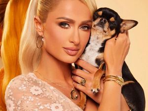 Paris Hilton Janjikan Hadiah Besar untuk Penemu Anjing Peliharaannya