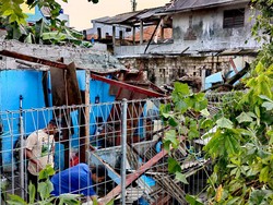 Rumah Bersubsidi Keluarga Azhar yang Kini Hancur Tertimpa Pohon Besar