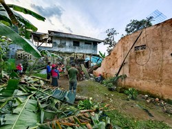 Detik-detik Pohon Tumbang Timpa Rumah, Azhar Lindungi Ponakan dari Runtuhan