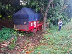 Sopir Mengantuk, Truk Terperosok ke Rerumputan Pinggir Tol Jagorawi