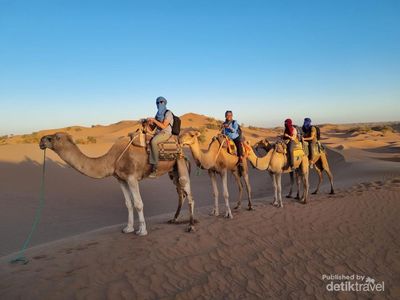Terniat! Berburu Sunset dan Sunrise ke Gurun Pasir Sahara