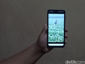 Harga Sayuran Merosot, Petani di Bandung Ngamuk!