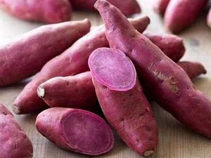 Sama-sama Enak, Ini Beda Nutrisi Ubi Jalar dan Ubi Ungu Sama-sama Enak, Ini Beda Nutrisi Ubi Jalar dan Ubi Ungu