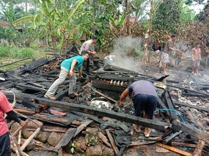 Ditinggal Hajatan, 4 Kambing Sutiman Mati Terpanggang