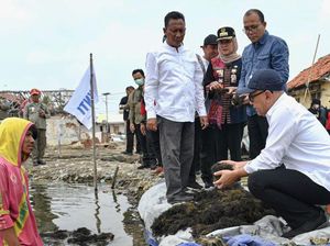 Kemenkop UKM Minta Koperasi Diperkuat agar Bantu Industri Rumput Laut
